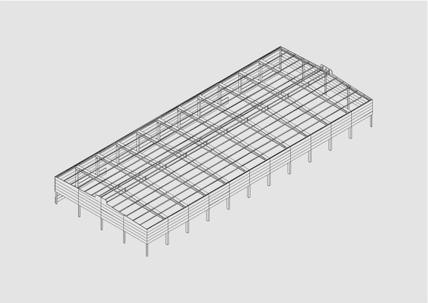 EXPOFLORA - ISOMETRICA 2