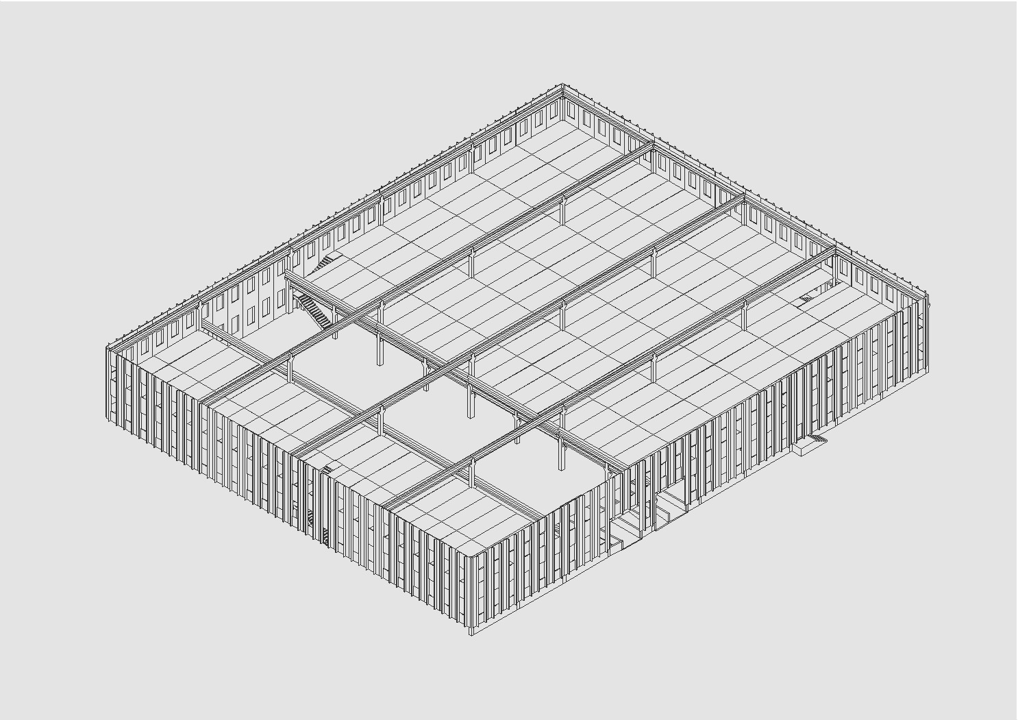 RIPASA - ISOMETRICA 2